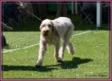 26-05-12 M JustEva_IMG_5121